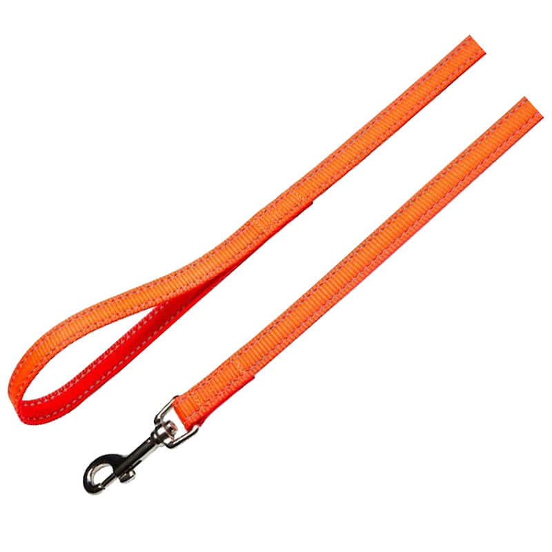 lesa-caini-cl056