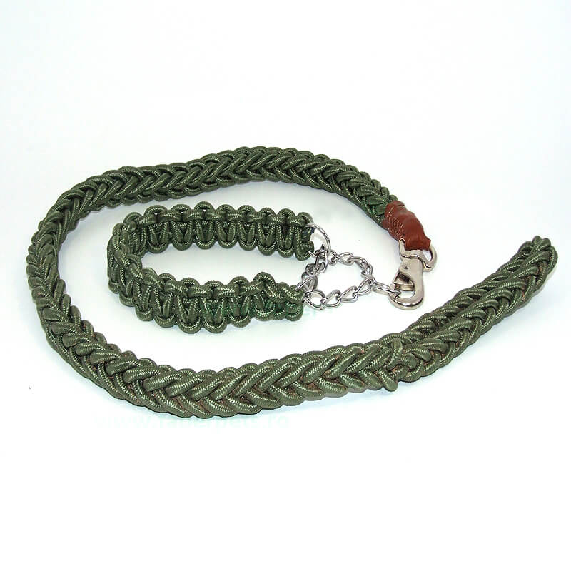 lesa-caini-cc33
