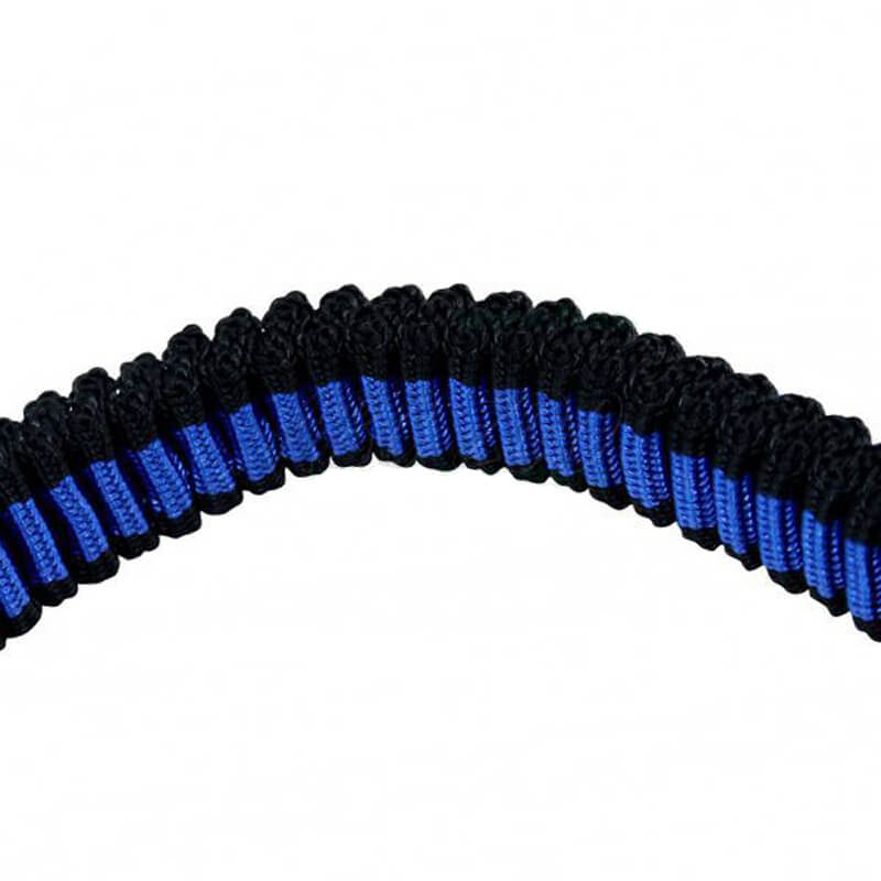 lesa-caini-cl043-1