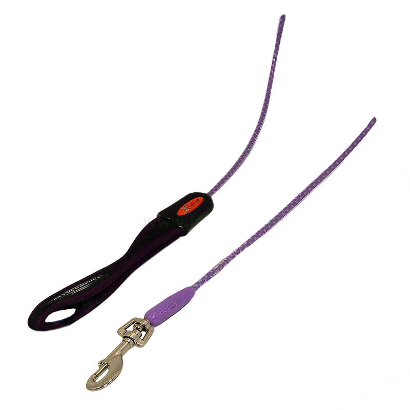 lesa-caini-cl402