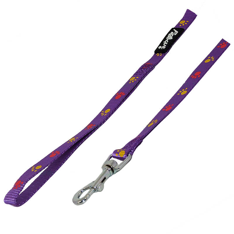 lesa-cl065