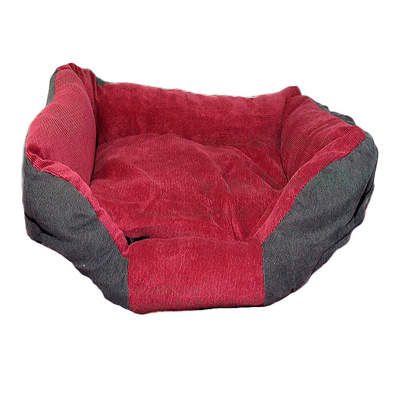 patut-animalute-ca8102