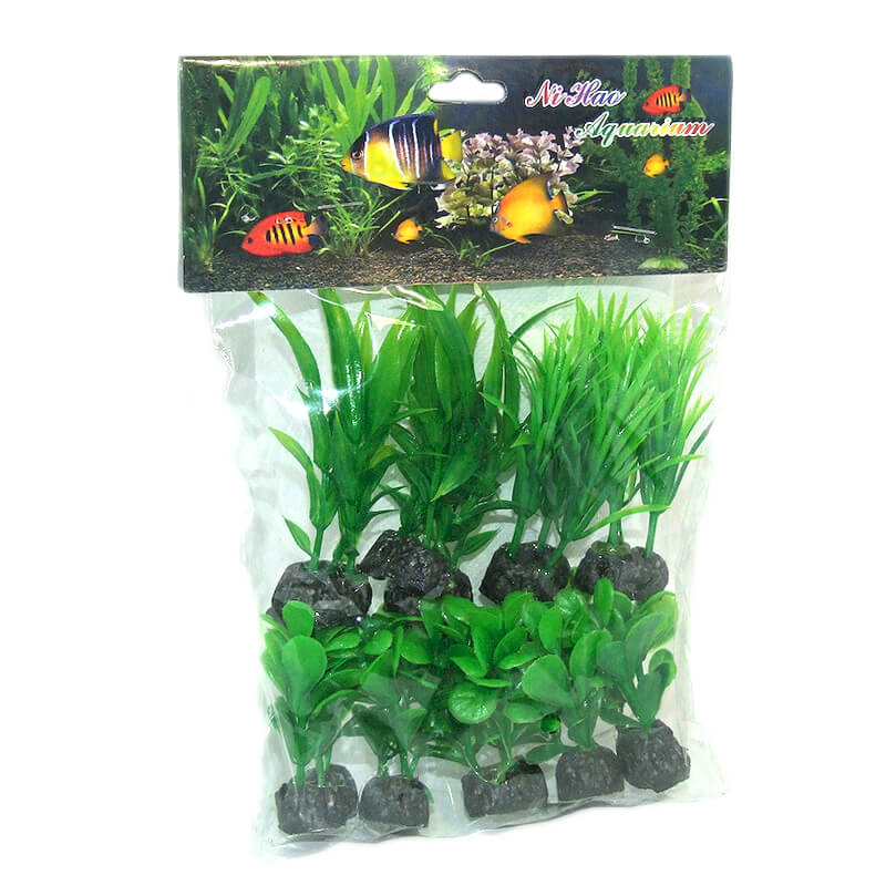 plante-acvariu-atp33