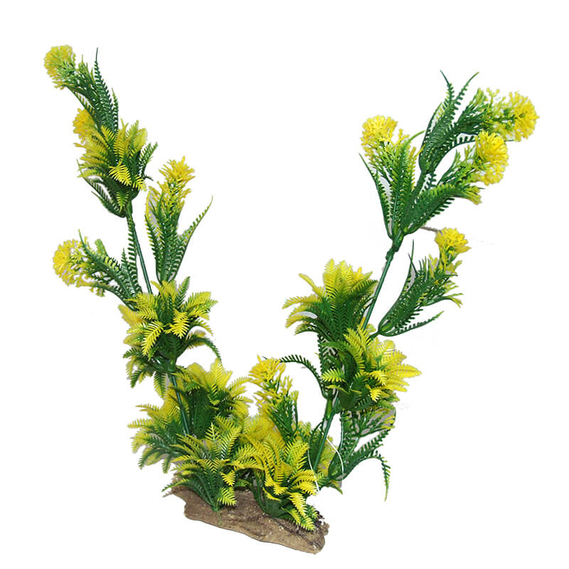 plante-acvariu-atp374