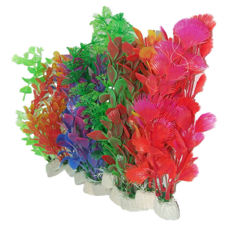 plante-acvariu-atp38