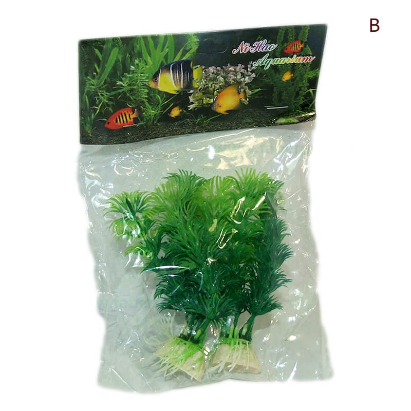 plante-atp36-1