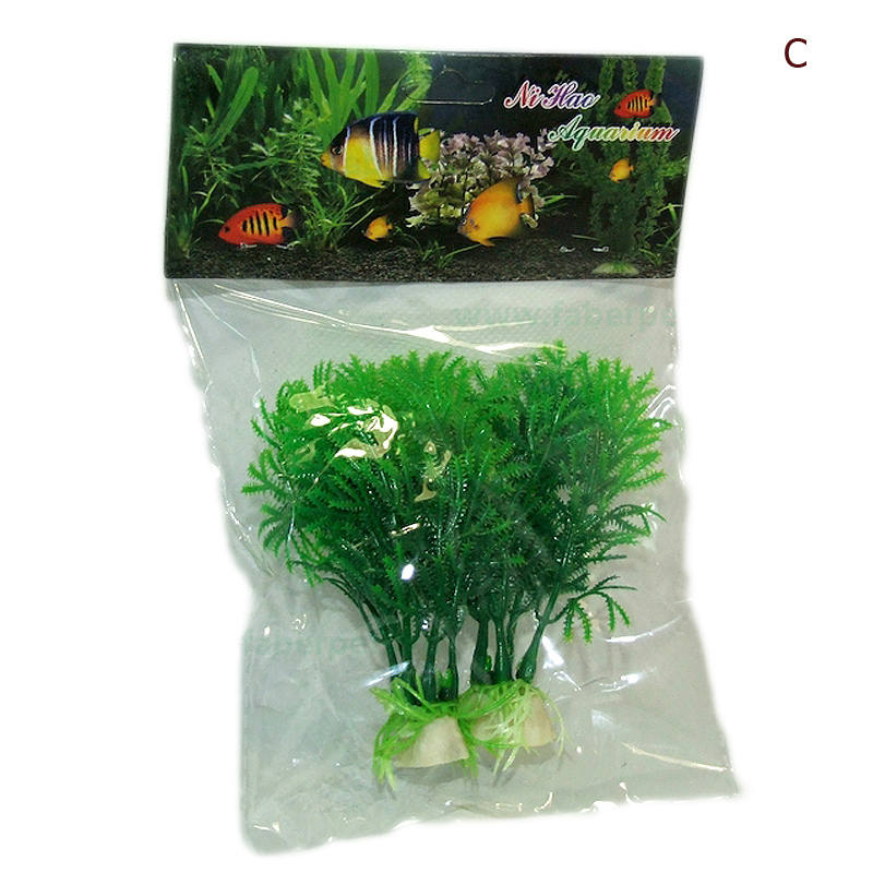 plante-atp36-2