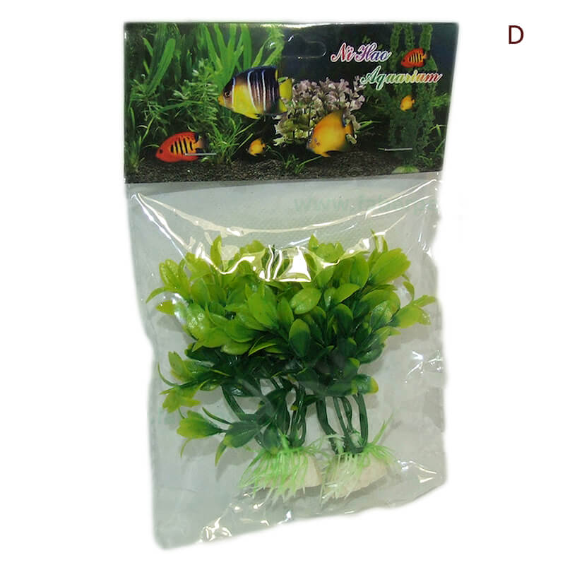 plante-atp36-3