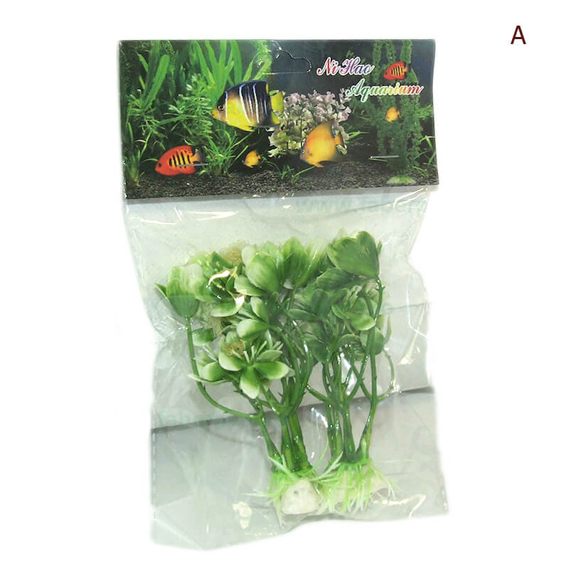 plante-atp36