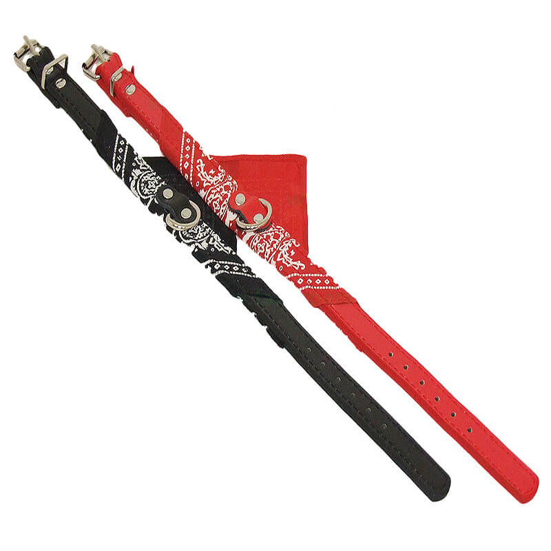 zgarda-batic-cz15-1