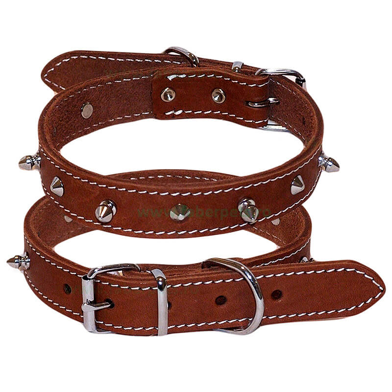 zgarda-piele-cza591
