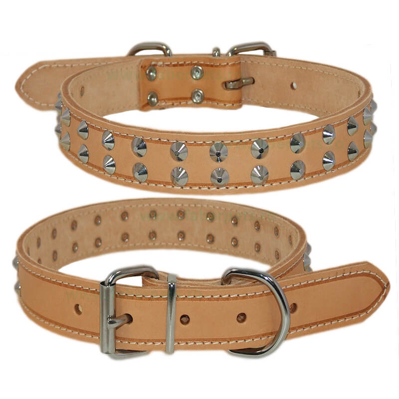 zgarda-piele-cza773